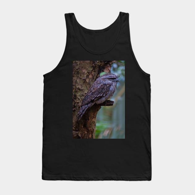 Tawny Frogmouth 2 Tank Top by DeborahMcGrath